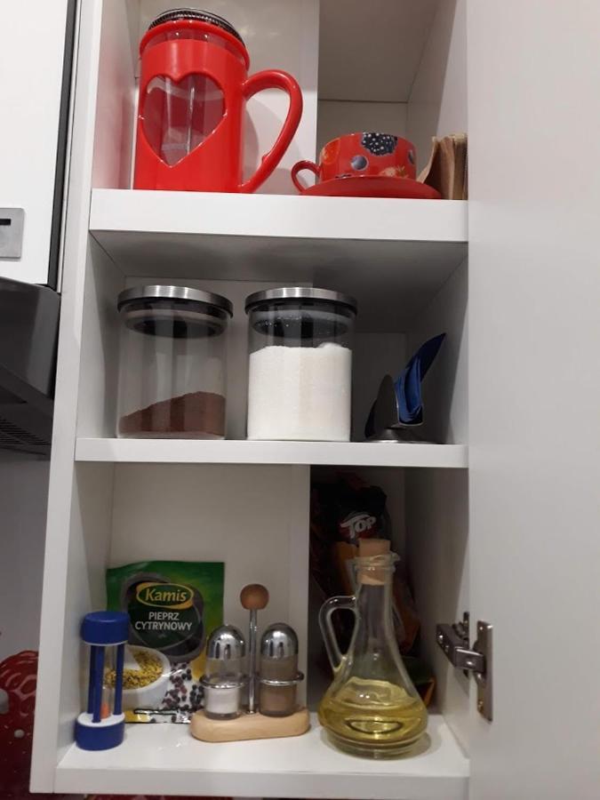 Apartament W Sercu Warmii II Olsztyn  Kültér fotó